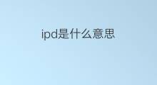 ipd是什么意思 ipd的中文翻译、读音、例句