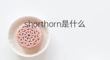 shorthorn是什么意思 shorthorn的中文翻译、读音、例句