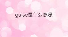 guise是什么意思 guise的中文翻译、读音、例句