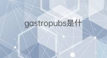 gastropubs是什么意思 gastropubs的中文翻译、读音、例句