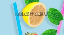 lubb是什么意思 lubb的中文翻译、读音、例句