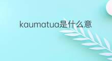 kaumatua是什么意思 kaumatua的中文翻译、读音、例句