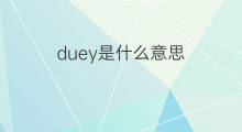 duey是什么意思 duey的中文翻译、读音、例句