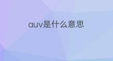 auv是什么意思 auv的中文翻译、读音、例句