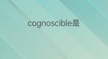 cognoscible是什么意思 cognoscible的中文翻译、读音、例句