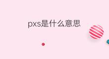 pxs是什么意思 pxs的中文翻译、读音、例句