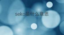 seko是什么意思 seko的中文翻译、读音、例句