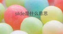 silde是什么意思 silde的中文翻译、读音、例句