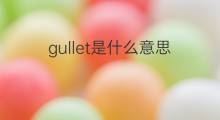 gullet是什么意思 gullet的中文翻译、读音、例句