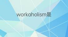 workaholism是什么意思 workaholism的中文翻译、读音、例句