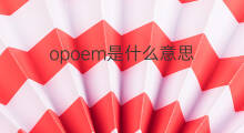 opoem是什么意思 opoem的中文翻译、读音、例句