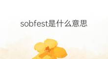 sobfest是什么意思 sobfest的中文翻译、读音、例句