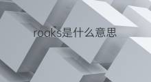 roaks是什么意思 roaks的中文翻译、读音、例句
