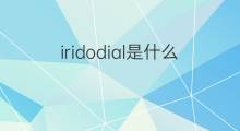 iridodial是什么意思 iridodial的中文翻译、读音、例句