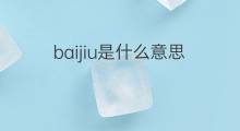baijiu是什么意思 baijiu的中文翻译、读音、例句