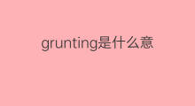 grunting是什么意思 grunting的翻译、读音、例句、中文解释