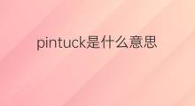 pintuck是什么意思 pintuck的中文翻译、读音、例句