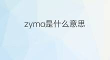 zyma是什么意思 zyma的翻译、读音、例句、中文解释