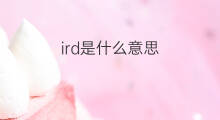 ird是什么意思 ird的中文翻译、读音、例句
