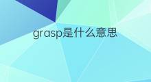 grasp是什么意思 grasp的中文翻译、读音、例句