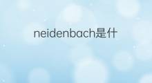 neidenbach是什么意思 neidenbach的中文翻译、读音、例句