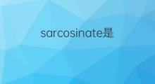 sarcosinate是什么意思 sarcosinate的中文翻译、读音、例句