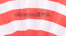 albatross是什么意思 albatross的中文翻译、读音、例句