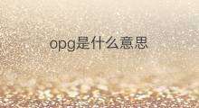 opg是什么意思 opg的中文翻译、读音、例句