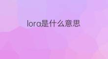 lora是什么意思 lora的中文翻译、读音、例句