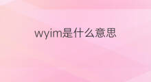 wyim是什么意思 wyim的中文翻译、读音、例句