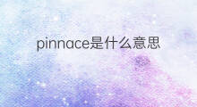 pinnace是什么意思 pinnace的中文翻译、读音、例句