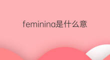 feminina是什么意思 feminina的中文翻译、读音、例句
