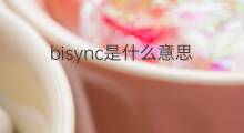 bisync是什么意思 bisync的中文翻译、读音、例句