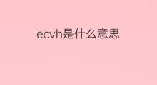 ecvh是什么意思 ecvh的中文翻译、读音、例句