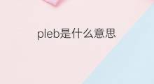pleb是什么意思 pleb的中文翻译、读音、例句