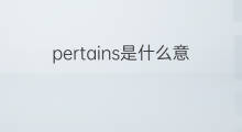 pertains是什么意思 pertains的中文翻译、读音、例句