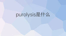 purolysis是什么意思 purolysis的中文翻译、读音、例句