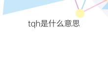 tqh是什么意思 tqh的中文翻译、读音、例句