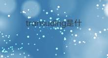 transuding是什么意思 transuding的翻译、读音、例句、中文解释