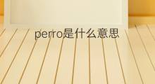 perro是什么意思 perro的中文翻译、读音、例句
