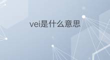 vei是什么意思 vei的中文翻译、读音、例句