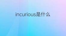 incurious是什么意思 incurious的中文翻译、读音、例句