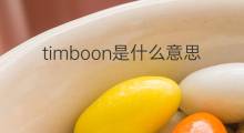 timboon是什么意思 timboon的中文翻译、读音、例句
