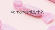 yamanashi是什么意思 yamanashi的中文翻译、读音、例句