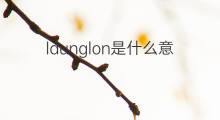 launglon是什么意思 launglon的中文翻译、读音、例句