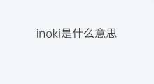 inoki是什么意思 inoki的中文翻译、读音、例句