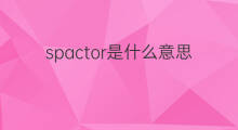 spactor是什么意思 spactor的中文翻译、读音、例句