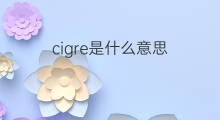 cigre是什么意思 cigre的中文翻译、读音、例句