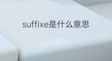 suffixe是什么意思 suffixe的中文翻译、读音、例句