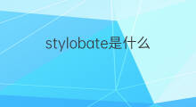 stylobate是什么意思 stylobate的中文翻译、读音、例句